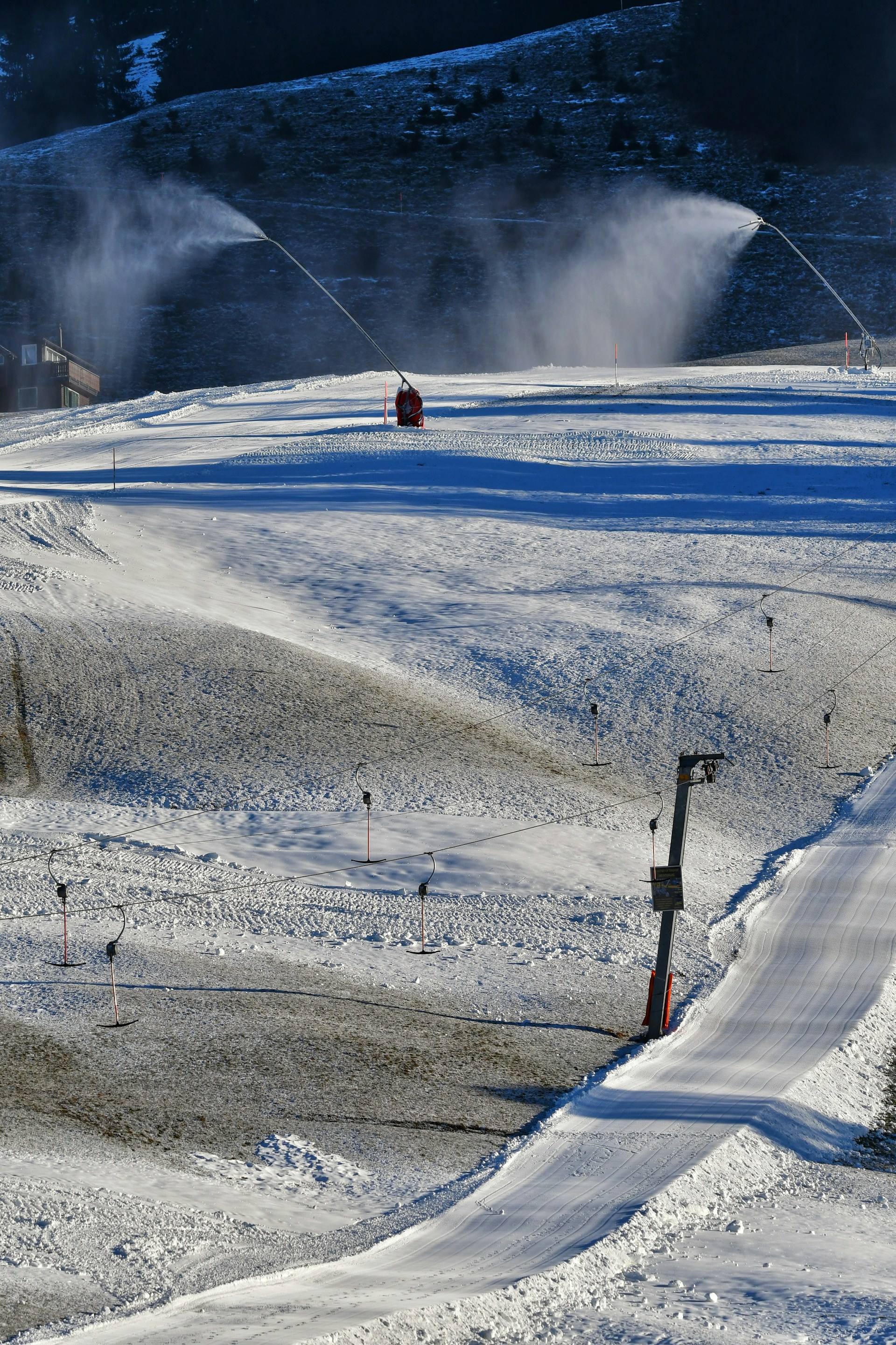 Photo by Peter Steiner 1973 on Unsplash