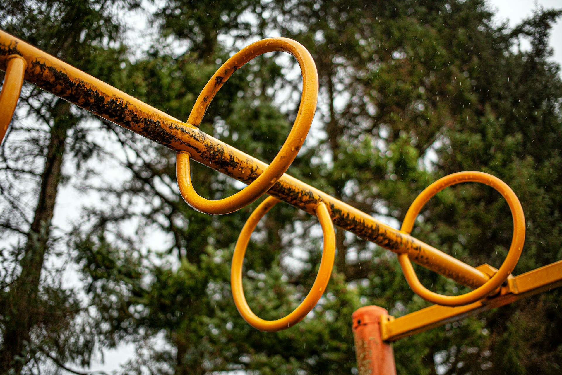 Photo by Jonathan Cosens Photography on Unsplash