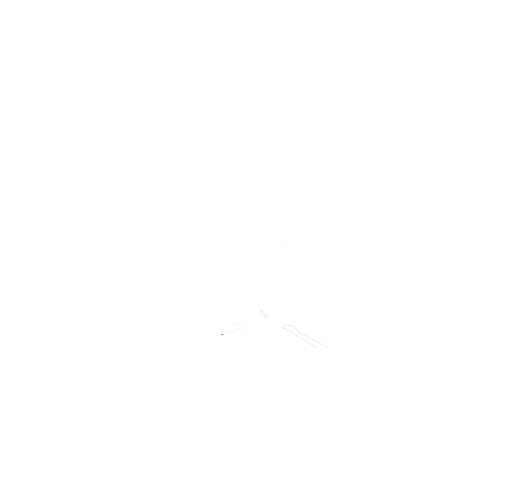 Save our Snow